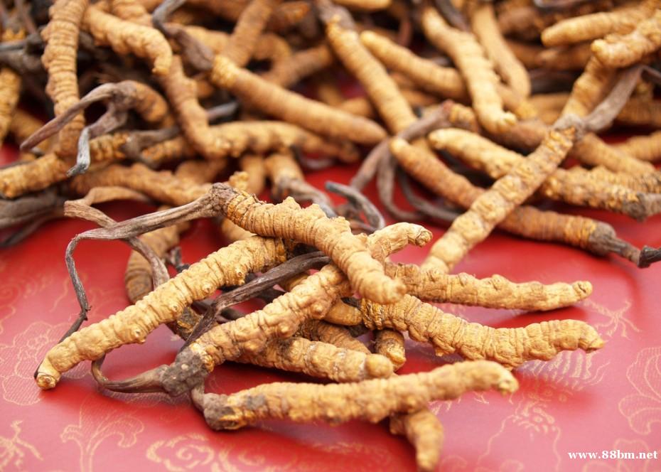 东城区回收冬虫夏草13439830111收购安宫牛黄丸 东城区回收冬虫夏草13439830111收购安宫牛黄丸